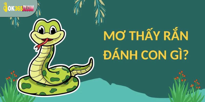 Mơ thấy rắn đánh con gì dễ trúng? 